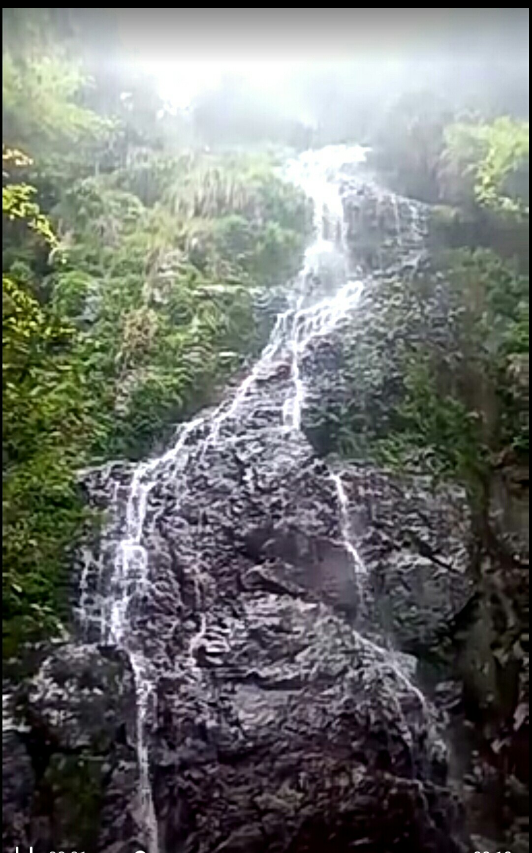清明時節(jié)，相約踏青