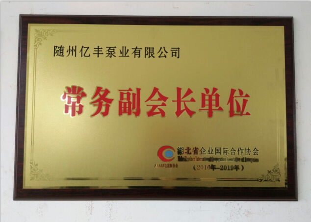 熱烈祝賀隨州億豐泵業(yè)有限公司榮獲湖北省企業(yè)國(guó)際合作協(xié)會(huì)常務(wù)副會(huì)長(zhǎng)單位
